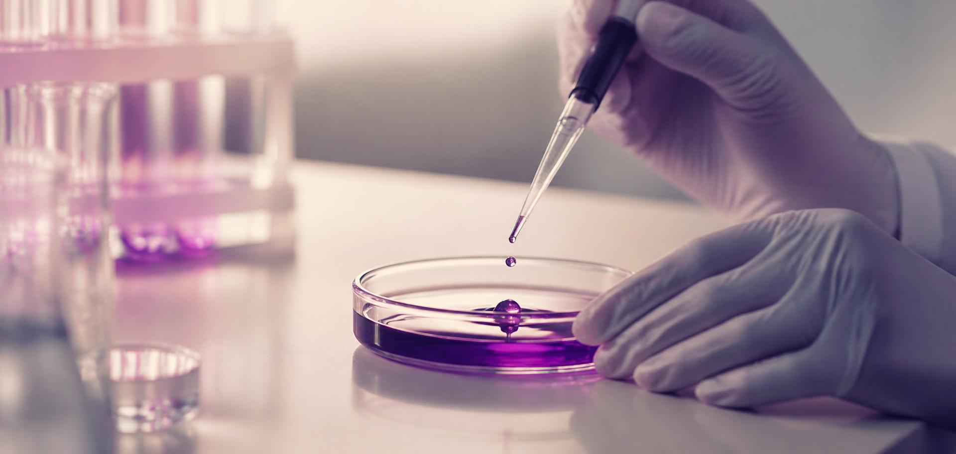Gloved hands dispensing a droplet of biotechnology-derived material into a petri dish